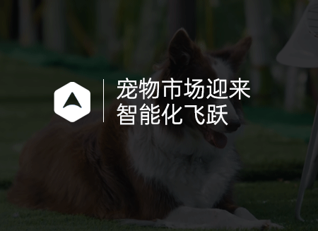 01宠物.png